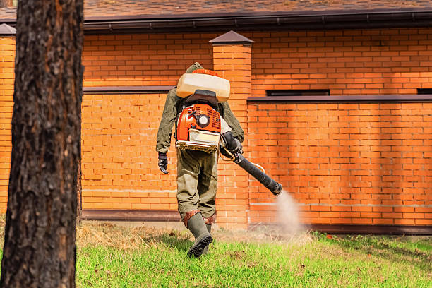 Trusted Bed Bug Control service in Haskins, OH - Nex Pest Control